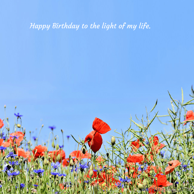 Birthday card with poppies