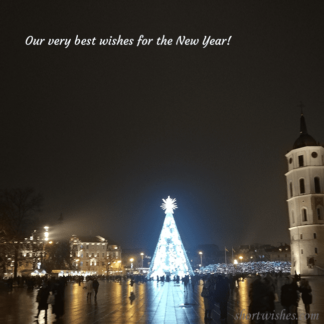 Postcard with a Christmas tree near the cathedral