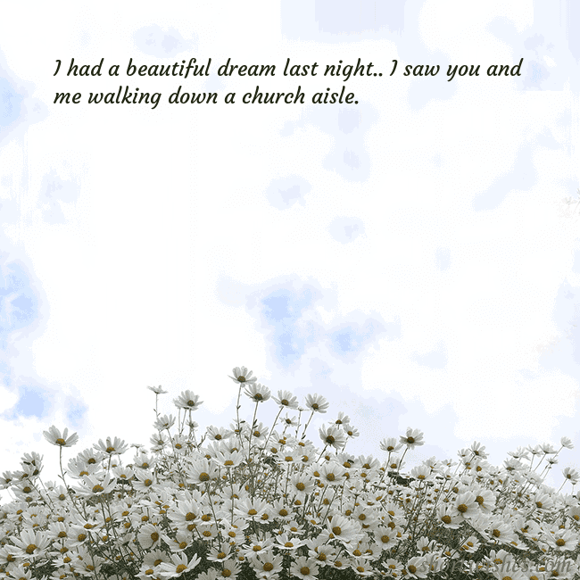 Postcard with daisies