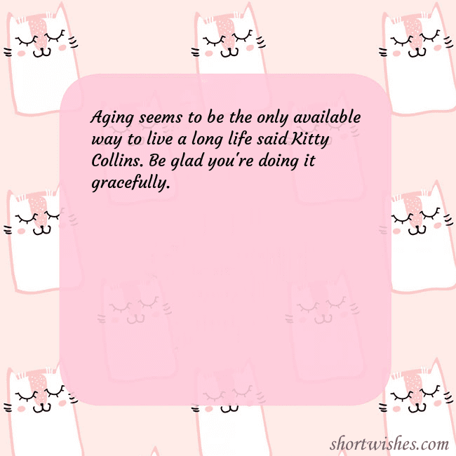 Pink postcard with funny cats