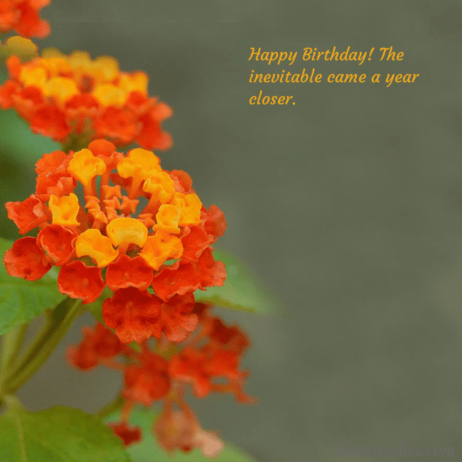 E-card with orange flowers